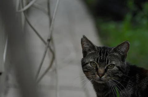 Look back Stock Photos