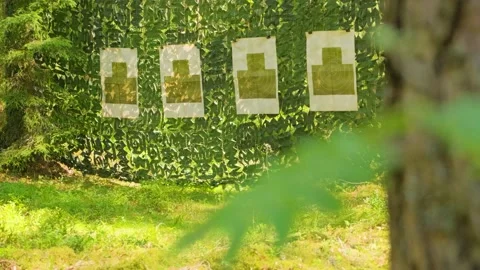 Look from behind the tree at the targets hanging on the canvas between the trees Stock Footage 235551954