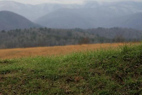 Look Beyond Stock Photos