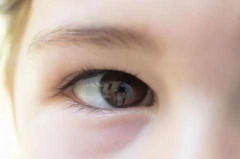 Look at the camera Stock Photos