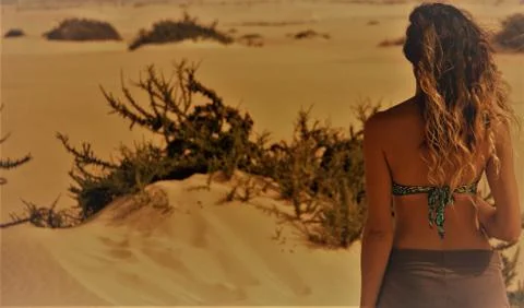 Look at the desert Stock Photos