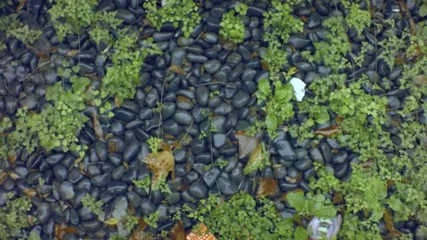 Look down angle circling turning view to tons small round black cobblestone  Stock Footage 204482148
