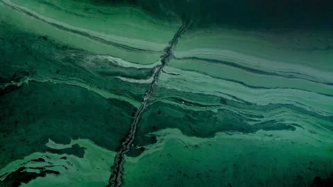 Look down raise above dark green algal bloom water Stock Footage 205824880