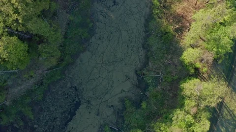 The look-down shot of the river. Stock Footage 111601015