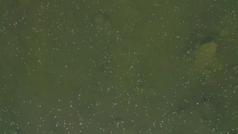 The look-down shot the river. Stock Footage 112330763