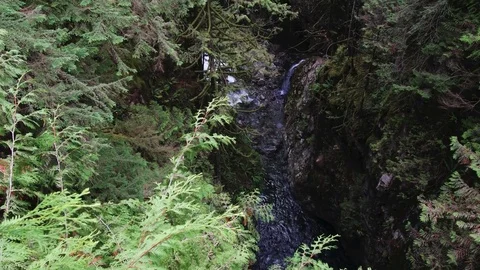 Look down the suspension bridge in Lynn Canyon Stock Footage 82151407