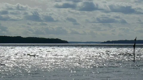 Look at fjord Stock Footage 76474776