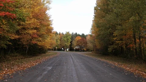 A look into the forest Video stock 97967915