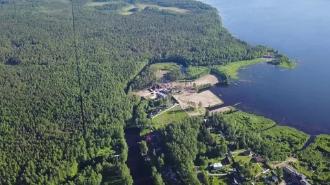 Look up form the forest to the skyline over the lake Stock Footage