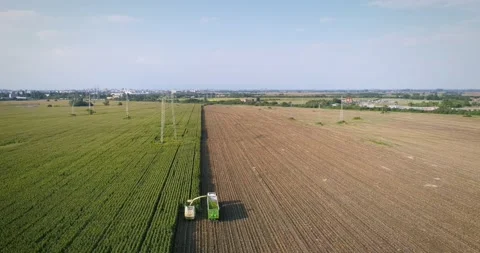 A look from high harvest in a cornfield Stock Footage 159547970