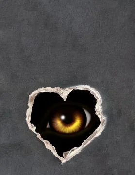 Look Stock Illustration