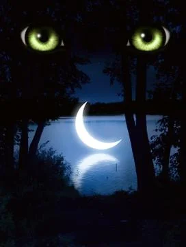 Look Stock Illustration