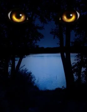 Look Stock Illustration