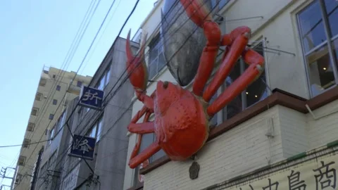 A Look Inside The Biggest Fish Market In Tokyo, Japan Stock Footage 158991755