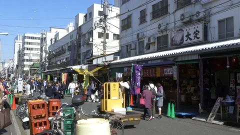 A Look Inside The Biggest Fish Market In Tokyo, Japan Stock Footage 158992577
