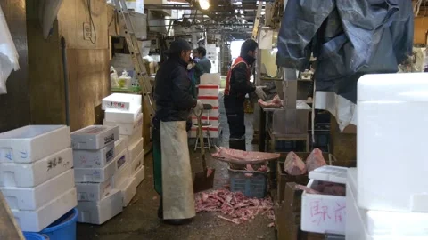 A Look Inside The Biggest Fish Market In Tokyo, Japan Stock Footage 158994002