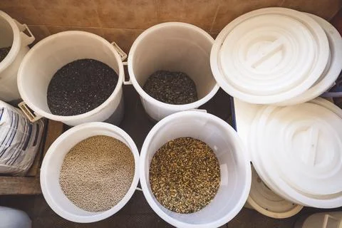 A look inside buckets full of grain for horses to eat Stock Photos