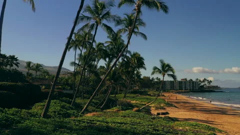 A look at Kihei Stock Footage 157877271