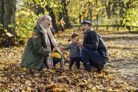 Look at the Leaves! Stock Photos