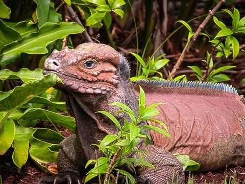 Look at me Foto stock