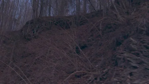 Look up nature is here 스톡 동영상 137644086