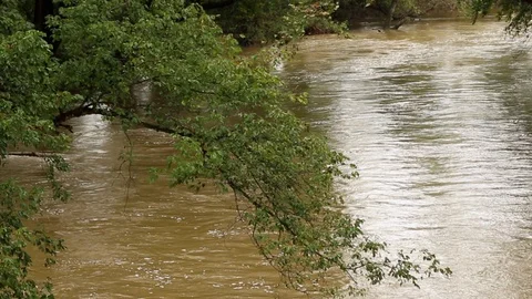 A look up Opequon river Stock Footage 97527319