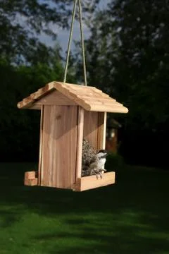 On the look out Stock Photos