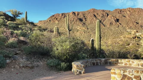 Look out point at West Gate Pass Road at Tucson Mountain Park at sunset, Stock Footage 212760343