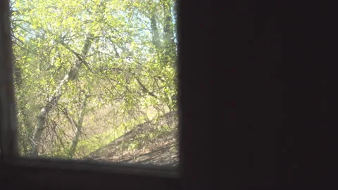 Look out through the window of the old barn / Window to wall Stock Footage 130886371