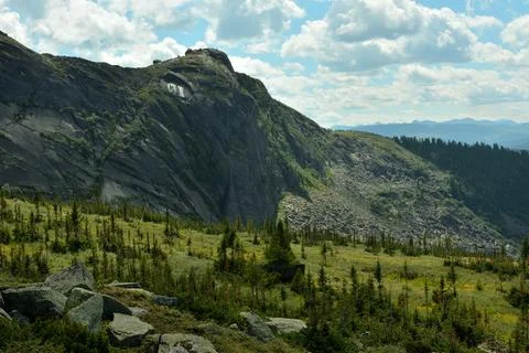 A look over young cedars at a high mountain range with a sheer cliff under .. Stock Photos