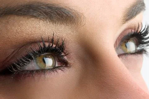 The look Foto stock