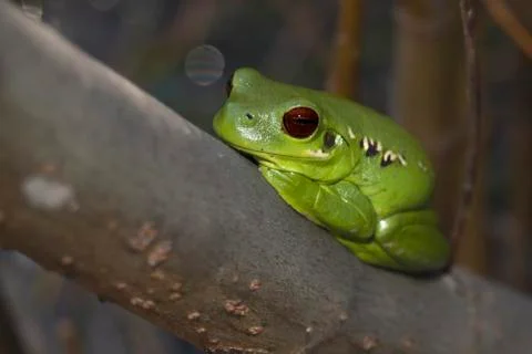 The look Foto stock