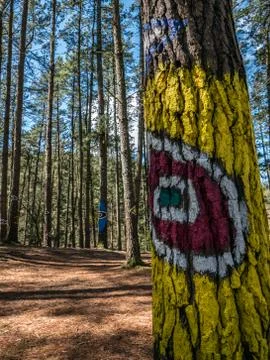 The look Stock Photos