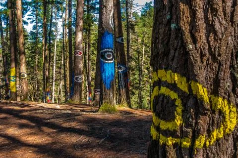 The look Stock Photos