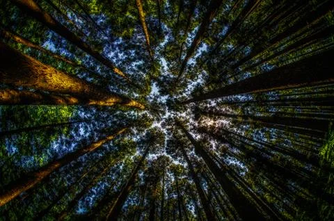 Look up Stock Photos
