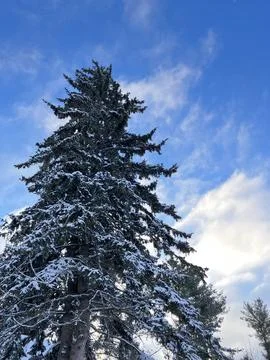 Look Up Stock Photos