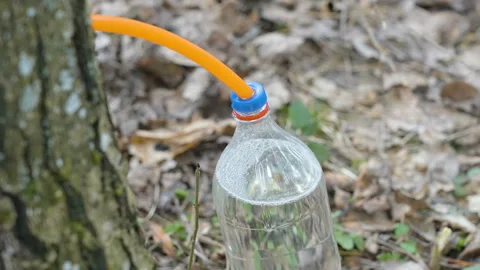A look of the plastic bottle almost full in Estonia Stock Footage 172195476