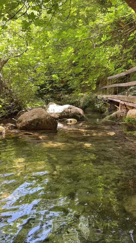 A look at reflection of glare in clear water of mountain lake Stock Footage 280685722