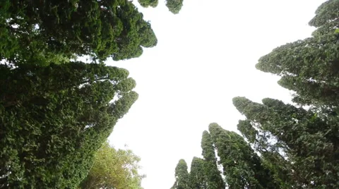 Look at the sky circling Stock Footage 64147903