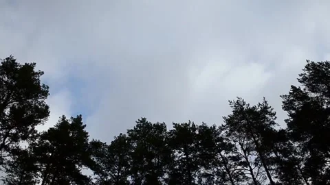 Look into the sky Stock-Footage 143988284