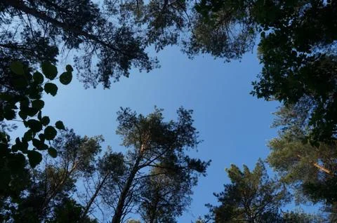 Look at the sky Stock Photos