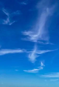 Look up in the Sky Stock Photos