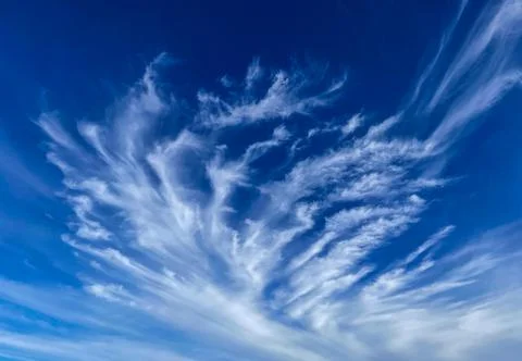 Look up in the Sky Stock Photos