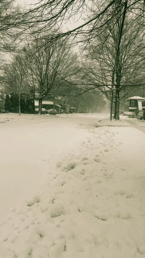 Look at the snow Stock Footage 279522749