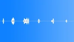 LookSound Effect