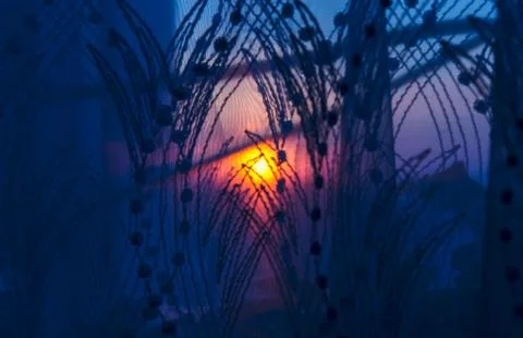 Look At Sun Stock Photos