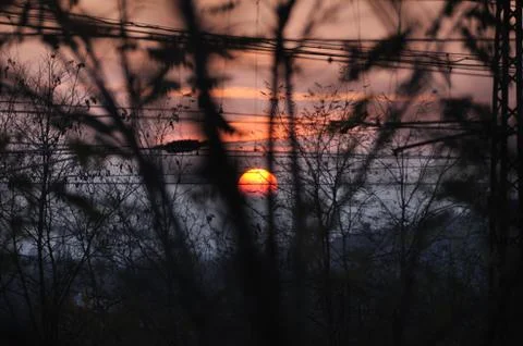 Look to sunset through tree branches and industrial railways wires Stock Photos