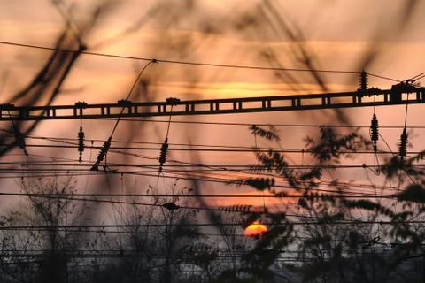 Look to sunset through tree branches and industrial railways wires 스톡 사진