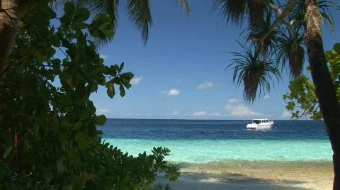 Look through - caribbean lagoon Vidéo 70765