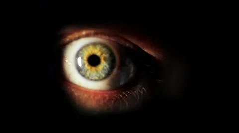 Look through Vídeos de archivo 10931516